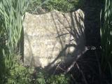 image of grave number 787354